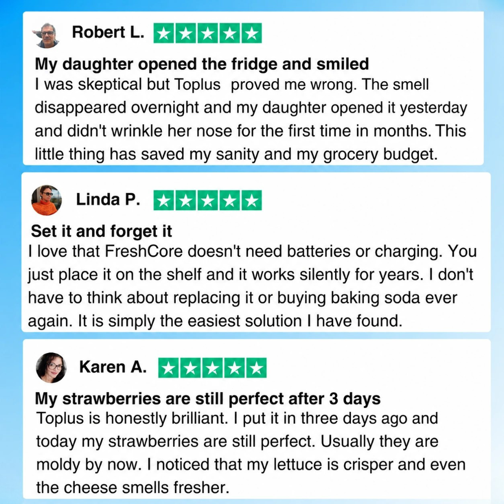 Toplus™ Fridge Purifier